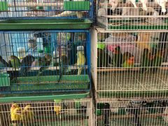 -三旗百汇商品城