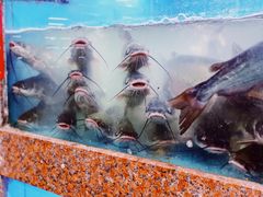 -渔人湾码头海鲜市场负二楼