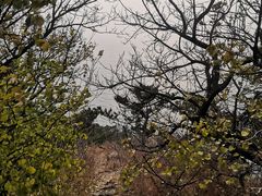 -燕窝岭