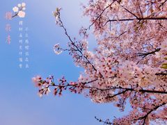 -上海辰山植物园