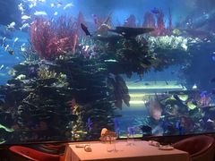 -迪拜帆船酒店海底餐厅