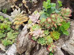 -炊烟餐厅