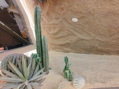 -COOKINGNANA蛋包饭(国贸银泰店)