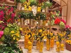 -咖啡苑 - 蔚藍夏日限定主题(永利皇宫店)