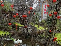 -青城甲(青城山店)