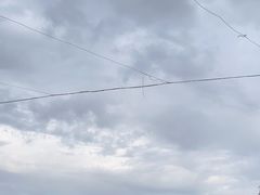 -上海海昌海洋公园