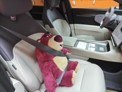 -天猫养车贴膜轻改·蓝电(优匹康桥东路店)