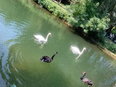 -长白岛森林公园