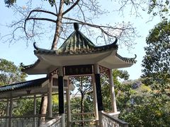 -广州市流溪河国家森林公园