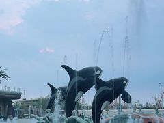 -上海海昌海洋公园