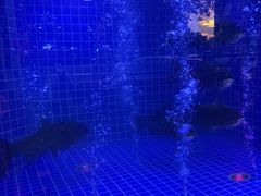 -渔乡米香·剁椒鱼头(四方坪店)