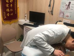 -恒幸动物医院·急重症转诊中心·神经内外科·CT核磁
