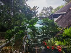 -老房子金沙元年川菜食府·花园餐厅(金沙店)