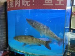 -红日饭店(裕隆三路店)