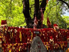 -大槐树寻根祭祖园