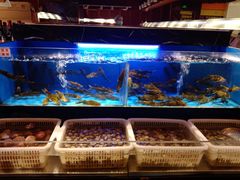 水产区-布多斯烤肉火锅自助(江腾广场店)