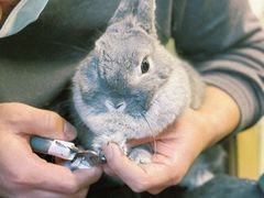 -沐沐家宠物(成寿寺店)