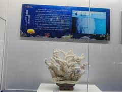 -贝壳王国博物馆