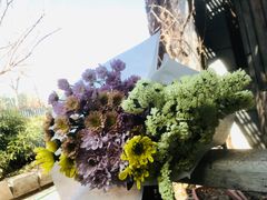 -斯多格书乡(北京大学畅春园店)