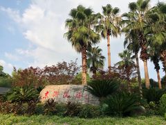 -东湖生态旅游风景区