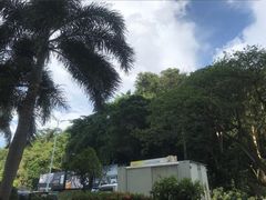 -东姑阿都拉曼海洋公园