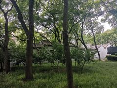 -玲珑塔公园