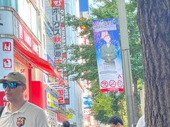 -秋叶原电器街