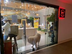 -肆兮眼镜·蔡司·徕卡战略合作店(大坪店)