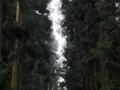 -山王坪喀斯特国家生态公园