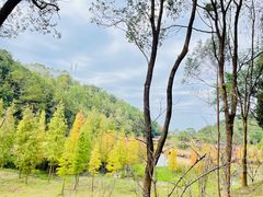 -神光山国家森林公园