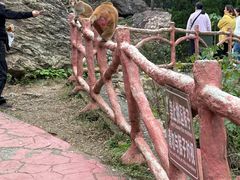 -环翠峪风景区