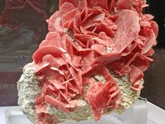 -湖南省地质博物馆