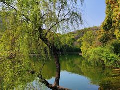 -柯岩风景区
