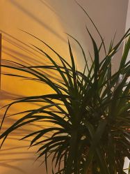 -锦尚名仕Hair Salon