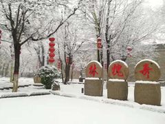 -大槐树寻根祭祖园