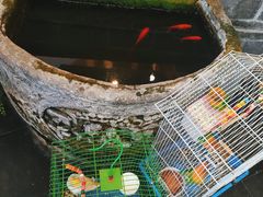 -红鼎坊·老成都火锅(新南门店)