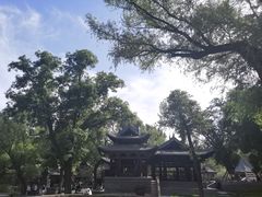 -晋祠公园