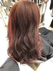 -CUT CUT Hair Salon