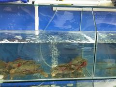 水产区-老闽味姜母鸭·煎蟹闽菜餐厅(曾厝垵地标店)