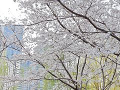 -西北湖绿化广场