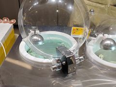 -西树泡芙(湖滨银泰in77B区店)
