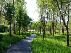 -溱湖国家湿地公园