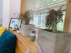 -COTTON CAFE(德信·中外公寓店)