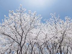 -白塘生态植物园