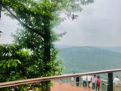 -铁山坪森林公园