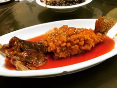 -协和菜馆(凤凰街店)