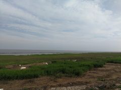 -南汇嘴观海公园