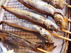 -春草居酒屋·晴子の店