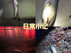 -武昌江滩