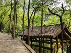 -南山植物园